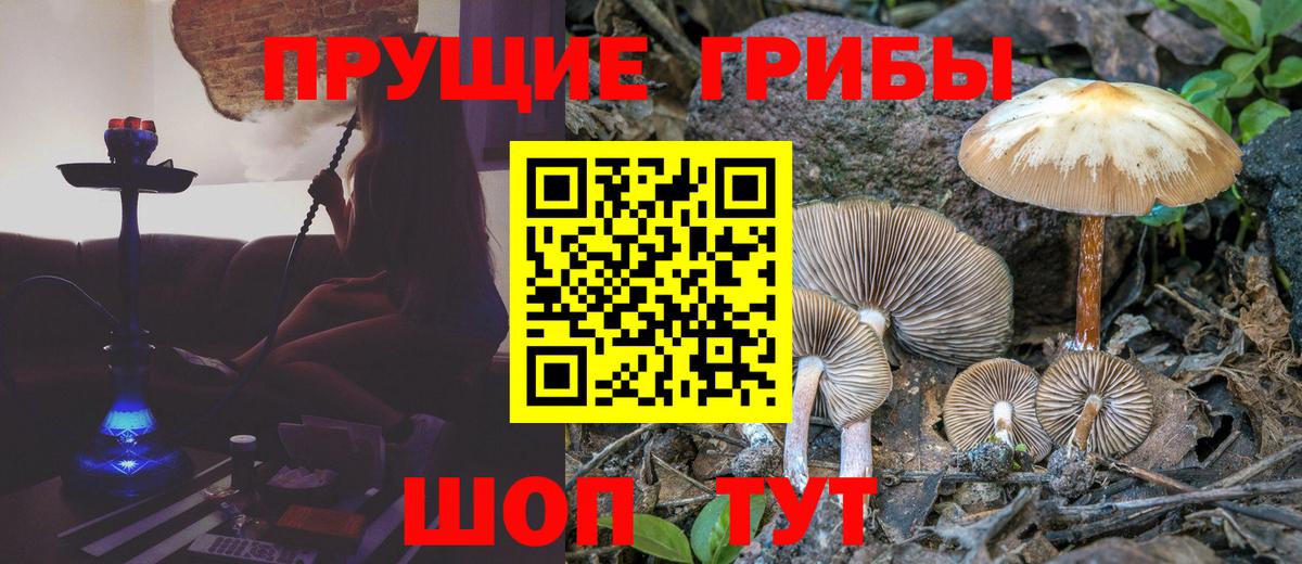 где можно купить наркотик  Галлюциногенные грибы ЛСД  Вход с VPN  Родники 